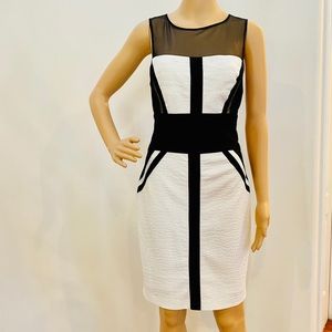 Cache Black & Ecru Dress